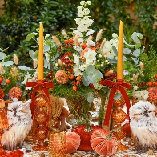 Candles | Candlescapes<Mrs. Alice Camille Orange Candle Set