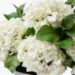 Year-round Decorations | Forever Blooms<Mrs. Alice Faux White Hydrangea in Chinoiserie Planter