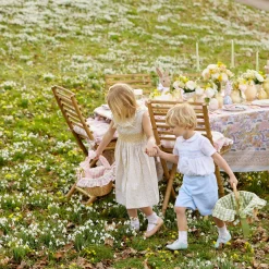 Spring Decorations<Mrs. Alice Green Gingham Basket