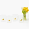 Summer Glassware | Glasses<Mrs. Alice Lemon Glasses (Set of 4)