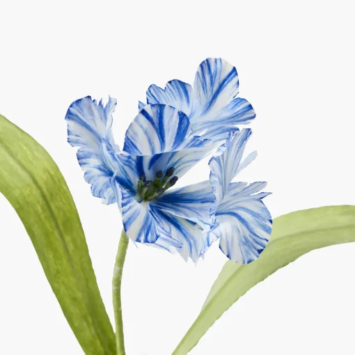 Year-round Decorations | Forever Blooms<Mrs. Alice Handpainted Blue Tulip