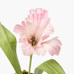 Year-round Decorations | Forever Blooms<Mrs. Alice Handpainted Pink Tulip