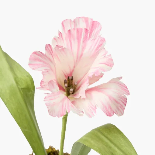 Year-round Decorations | Forever Blooms<Mrs. Alice Handpainted Pink Tulip