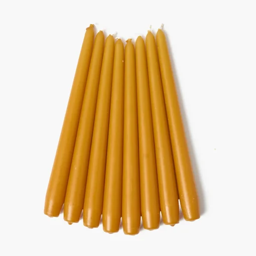 Summer Candleware | Candles<Mrs. Alice Mustard Candles (Set of 8)
