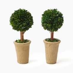 Year-round Decorations | Spring Decorations<Mrs. Alice Potted Boxwood Ball (Pair)