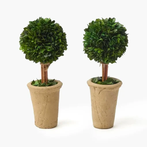 Year-round Decorations | Spring Decorations<Mrs. Alice Potted Boxwood Ball (Pair)