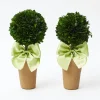 Spring Decorations<Mrs. Alice Potted Boxwood Ball with Green Bow (Pair)