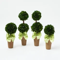 Spring Decorations<Mrs. Alice Potted Boxwood Ball with Green Bow (Pair)