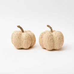 Autumn Decorations<Mrs. Alice Raffia Pumpkin Family