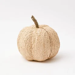 Autumn Decorations<Mrs. Alice Raffia Pumpkin Family